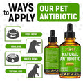 Herbal Pet Antibiotics for Rabbits, Reptiles, Turtles, Guinea Pigs, Fish – Chicken Antibiotics in Liquid for All Birds (Duck, Turkey, Goose) – For UTIs, Allergies, Runny Nose & Digestion – 2-oz Bottle