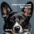 pawyoo Dog Ear Wipes, Ear Wipes for Dogs, Cat Ear Wipes, Dog Ear Cleaning Wipes, Cat Wipes, Pet Wipes for Cats, Cat Cleaning Wipes – Pet Ear Cleaning Finger Wipes for Cats: Ear Wipes, Weekly Care
