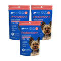 Ark Naturals Protection+ Brushless Toothpaste for Mini Breeds Bundle - Fortified Dog Dental Chew with Toothpaste Center - Helps Reduce Plaque & Tartar, Polishes Teeth, and Freshens Breath (3pk)