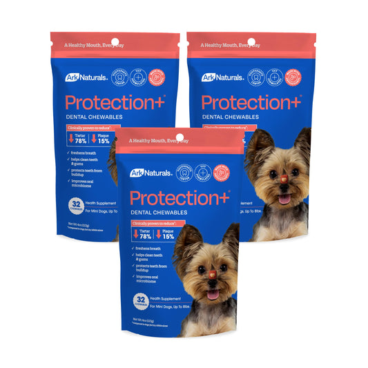 Ark Naturals Protection+ Brushless Toothpaste for Mini Breeds Bundle - Fortified Dog Dental Chew with Toothpaste Center - Helps Reduce Plaque & Tartar, Polishes Teeth, and Freshens Breath (3pk)