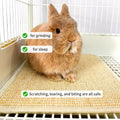 2PCS Rabbit Scratch Mat, Natural Bunny Pad Claws and Teeth Care, 16x12