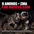 Bully Max Dog Muscle Builder Chewable Tablets - Vitamins & Supplements for Muscle Gain & Growth for Puppy & Adult Dogs - Vet-Recommended Dog Multivitamin for Al