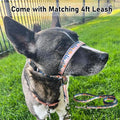 BARKLESS Dog Head Collar, Anti-Pulling Printed Head Halter with Leash