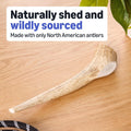 Amazon Brand - Wag Elk Antler - Whole - Long Lasting for Aggressive Chewers - X-Large 9.5-10.5 inches (Best for Dogs over 45 lbs)