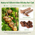 GBSYU Silvervine Sticks Cat Kitten Chew Toys for Indoor Cats Teeth Cleaning