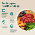 Jinx Dry Dog Food - Grass-Fed Beef, Brown Rice & Sweet Potato, 4lb