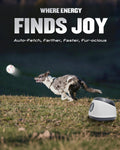 Atangee Automatic Dog Ball Launcher for Large Dogs, Machine Ball Thrower for Dogs, with 6 Pack 2.5" Balls (Grey), Interactive for Boredom, Mental Stimulation Toys