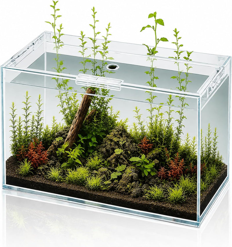 6 Gallon Glass Fish Tank 5 Gallon Open-Back Lid, Small Aquarium Fish Bowl Cube for Betta Goldfish Snails Shrimp Aquatic 