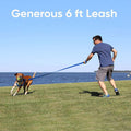 Pawtitas Coral Dog Leash 6 ft XS/S Reflective Durable Lightweight Recycled Lead for Small Dogs and Puppies
