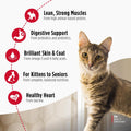 Nulo Freestyle Cat & Kitten Dry Food - Chicken & Cod Recipe, High Protein Grain Free Cat Food, Natural Kibble with Probiotics & Omega Fatty Acids, 4lb Bag