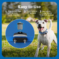 Invisible Fence Brand Power Cap Battery, 2-Pack
