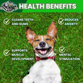 Exquisite Pets 35-Pack of Roasted Pig Ears for Dogs-Bulk All Natural, Brazilian Single-Ingredient Chews! Safe & Digestible-Full-Size Ears! Cleans Teeth & Gums. Aggressive Chewers. Treats for Dogs