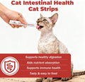 Probiotics for Cats & Digestive Support Gel – Cat Probiotic with Prebiotics, Taurine & Papain – Supports Gut Balance, Di