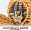 NEOUZA Sugar Glider Nest, PP Rattan Hanging Ball Bed for Small Pets