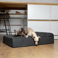 NOAH & PAW Large Dog Bed Orthopedic Memory Foam Cooling Gel 35x25x8.7 in
