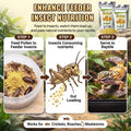 Bee Pollen Powder for Reptiles, 2pcs (1oz Each）, Natural Appetite Booster