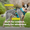 PetSafe EasySport Dog Harness, Teal Blue
