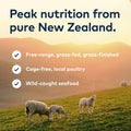 ZIWI Peak Lamb Dog Food Bundle – All Natural, High Protein, Grain Free & Limited Ingredient, with Superfoods (Air-Dried 