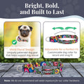 Lucky Love Dog Martingale Collar for Medium Dogs Cute – Blackbird, Medium