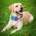 Dog Collar Flowers Attachement Bow Tie Accessories for Pet Grooming 4pcs