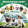 Shinylin 6 Sizes Dog Muzzle, Basket Air Mesh Muzzles Breathable Adjustable Full Coverage Dog Muzzle Cover for Small Medium Large Dogs, Anti Biting Barking Chewing(Snap Fastener)