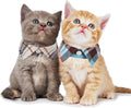ADOGGYGO Boy Cat Collar Breakaway with Bell, Blue Plaid Cat Shirt Collar