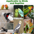 GlowUp 2.4% UVB Bird Cage Light Combo Kit, UVB Bird Lamp for Captive Birds