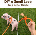 Pig Harness and Leash for Mini Pig, Goat