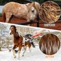 2 Pack Double Sided Stainless Steel Curry Comb With Soft Grip, Shedding & Grooming Tool For Dogs, Cattle & Horses