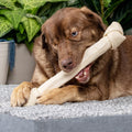 Pet Factory 100% Made in USA Beefhide 15-17" Knotted Bone Dog Chew Treat - Natural Flavor, 1 Count/1 Pack