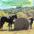 6x6 ft Round Bale Hay Net – Slow Feeder for Horses & Livestock, Extra Dense 2" Knotless Holes, Durable & Healthy Feeding