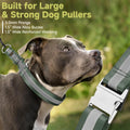 Mayerzon Martingale No Pull Dog Collar with Alloy Buckle, Green, L, 3mm
