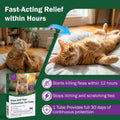 Flea and Tick Prevention for Cats & Kittens - Cat Flea and Tick Treatment – Topical Waterproof and Fast-Acting & Long - 