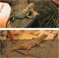 COMSUN 2 Pack Bearded Dragon Hammock, Collapsible Reptile Hammock Lounger