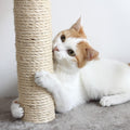 Cat Scratching Post - 3 Scratcher Posts with Carpeted Scratch Pad Base and Perch - Furniture Scratching Deterrent for In