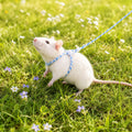 3 PCS Hamster Harness Leash Adjustable Small Animal Rope 57.87in