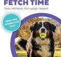 Outward Hound FlyFetch Launch-A-Ball Dog Ball Launcher Toy, 15.5", Medium