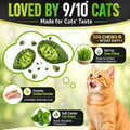 Cat Grass Treats, Hairball Treatment for Cats, for Indoor Cats, 500 Chews