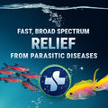 Fritz Aquatics ParaCleanse Provides Fast Relief from Parasitic Diseases (20-Count)