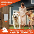 PEXTER Dog Poop Bag Dispenser - Outdoor or Indoor Pet Waste Bag Dispenser Station - Stick-On or Screw-On Wall Mount - Poop Bags Storage Outdoor Container - Includes 4 Doggie Bag Rolls (Gray)