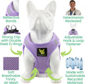 EcoBark Premium Teacup Dog Harness, Mini Step in Vest, XXXS