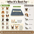 Dog Ramp for Stairs 2 Pack, 4-Level Adjustable Wooden Pet Steps