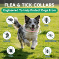 Flea Collar for Dogs, 4 Pack Flea and Tick Prevention for Dogs