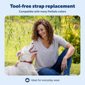 PetSafe 3/4 Inch Replacement Collar Strap, Rust