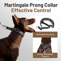 Hidden Prong Collar, Adjustable Martingale Design, M