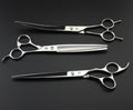 Purple Dragon 8 inch 3 in 1 Professional Pet Grooming Thinning