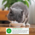 INABA Dashi Delights for Cats, Shredded Tuna Side Dish with Bonito Flake Broth, Cat Food Complement with Taurine & Green Tea Extract, 2.5 Ounce Cup, 6 Cups Total, Tuna Recipe