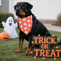 ADOGGYGO Halloween Dog Bandanas, 2 Pack Ghost Pumpkin Dog Scarf