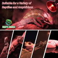 Infrared Reptile Heat Lamp Bulbs,2 PCS 50W Reptiles & Amphibians Infrared Basking Spot Lamp Bulb, Red Heat Emitter Light