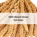 Amzey 5.5LB Spray Millet for Parakeets, 100% Natural Sun-Dried Healthy Bird Treat, Non-GMO High Protein Fresh Millet Spray for Parrots, Cockatiel, Finches & Lovebirds